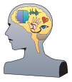 f4d8c364d5fd9ddd2d8b57d0f9103621_1742110774_0312.png